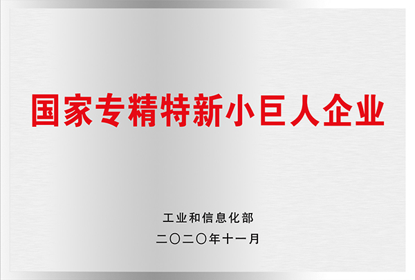 專(zhuān)精特新“小巨人”企業(yè)